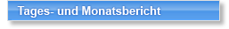 Tages- und Monatsbericht (Informationstransfer)